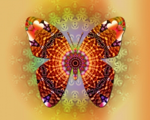 Butterfly Mandala