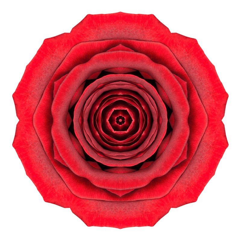Rose Mandala